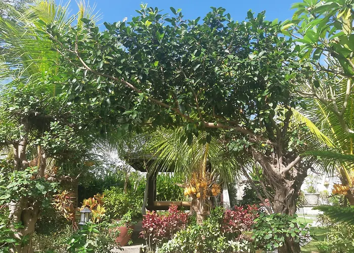 Muaya Villa